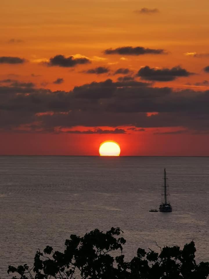 Villa Manolo Ocean And Forest View Hotel Drakes Bay Εξωτερικό φωτογραφία